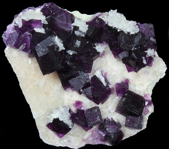 Dark Purple Cubic Fluorite on Quartz - Exceptional! #39004